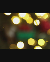 Load and play video in Gallery viewer, Dumpster Fire Ornament
